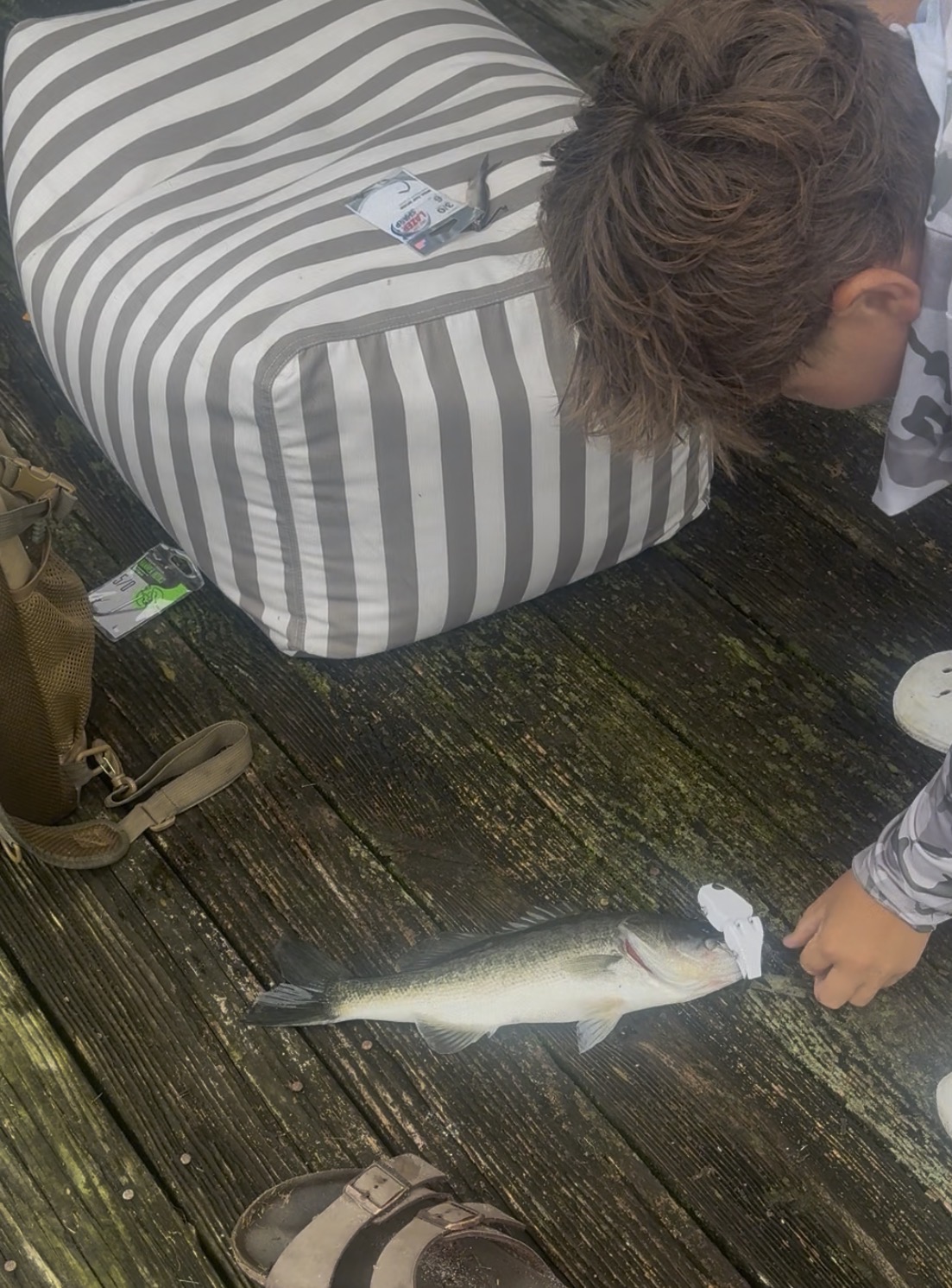 Bass caught using a Layered Lures bait